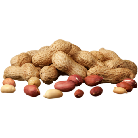 Cacahuètes entières et décortiquées